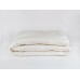 Купить онлайн 033856 Одеяло ODEJA ORGANIC Lux Cotton легкое 220x200