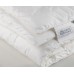 Купить онлайн FSN-09230 Одеяло PREMIUM FAMILIE NON-ALERGENIC всесезонное 155х200